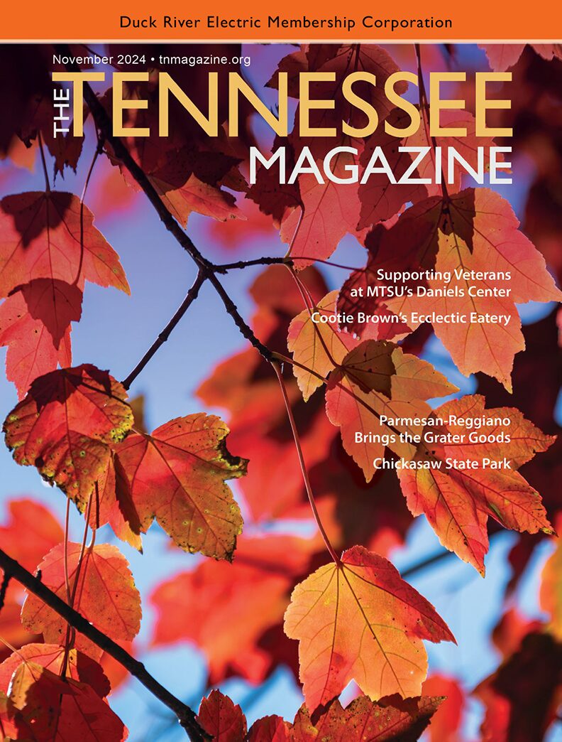 Tennessee Magazine, Nov. 2024 cover photo